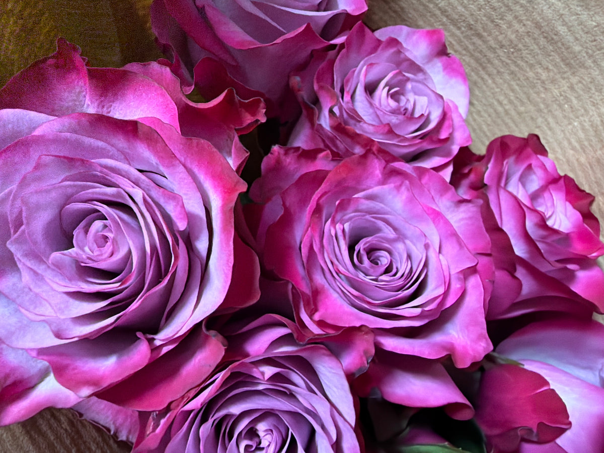 Roses | Rosa | + variants |