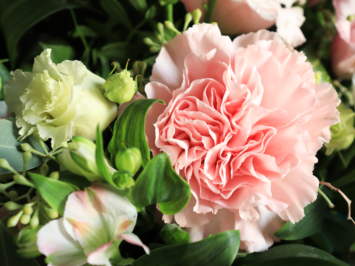 Bouquet of seasonal flowers | 01 | pink