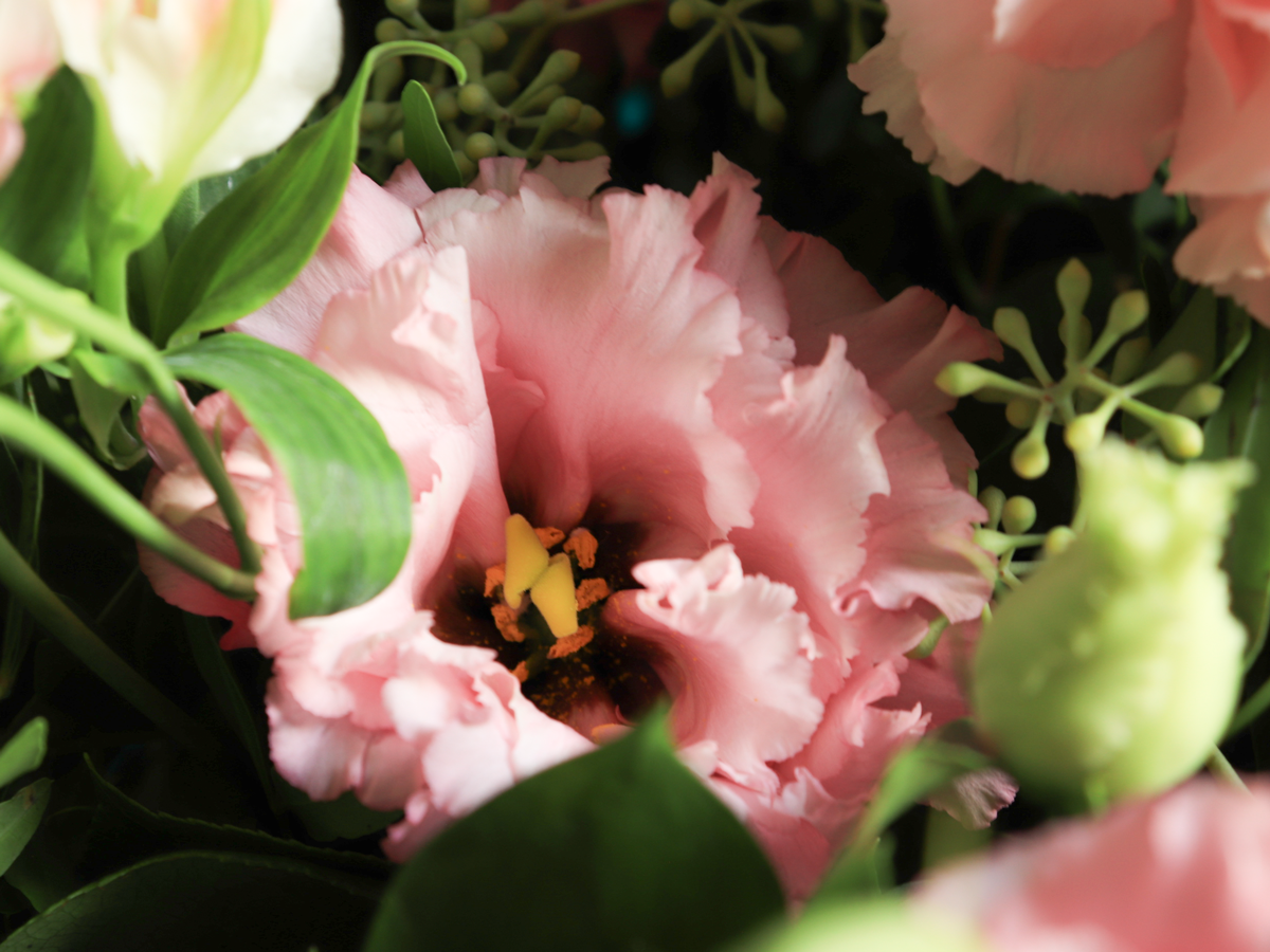 Bouquet of seasonal flowers | 01 | pink