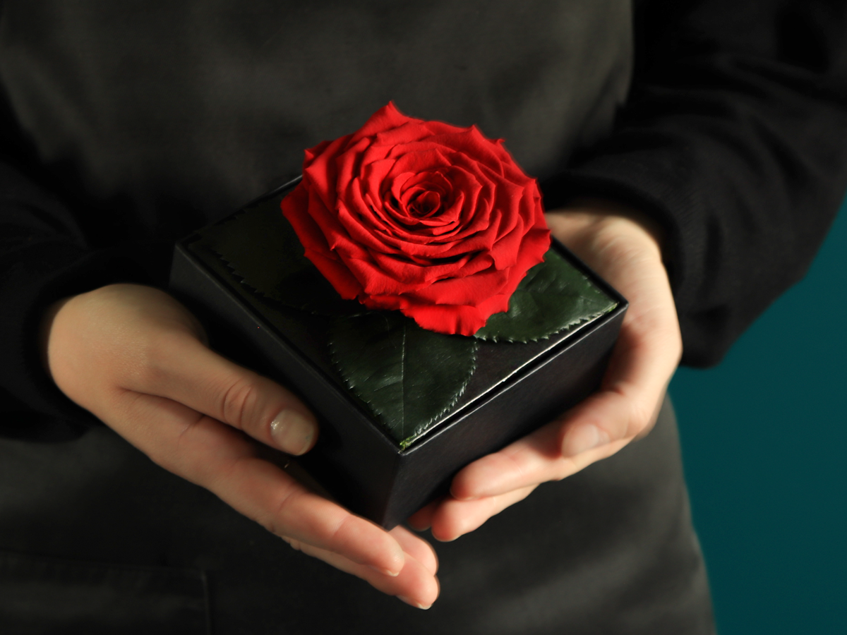 A rose in a box | 01 | last forever |