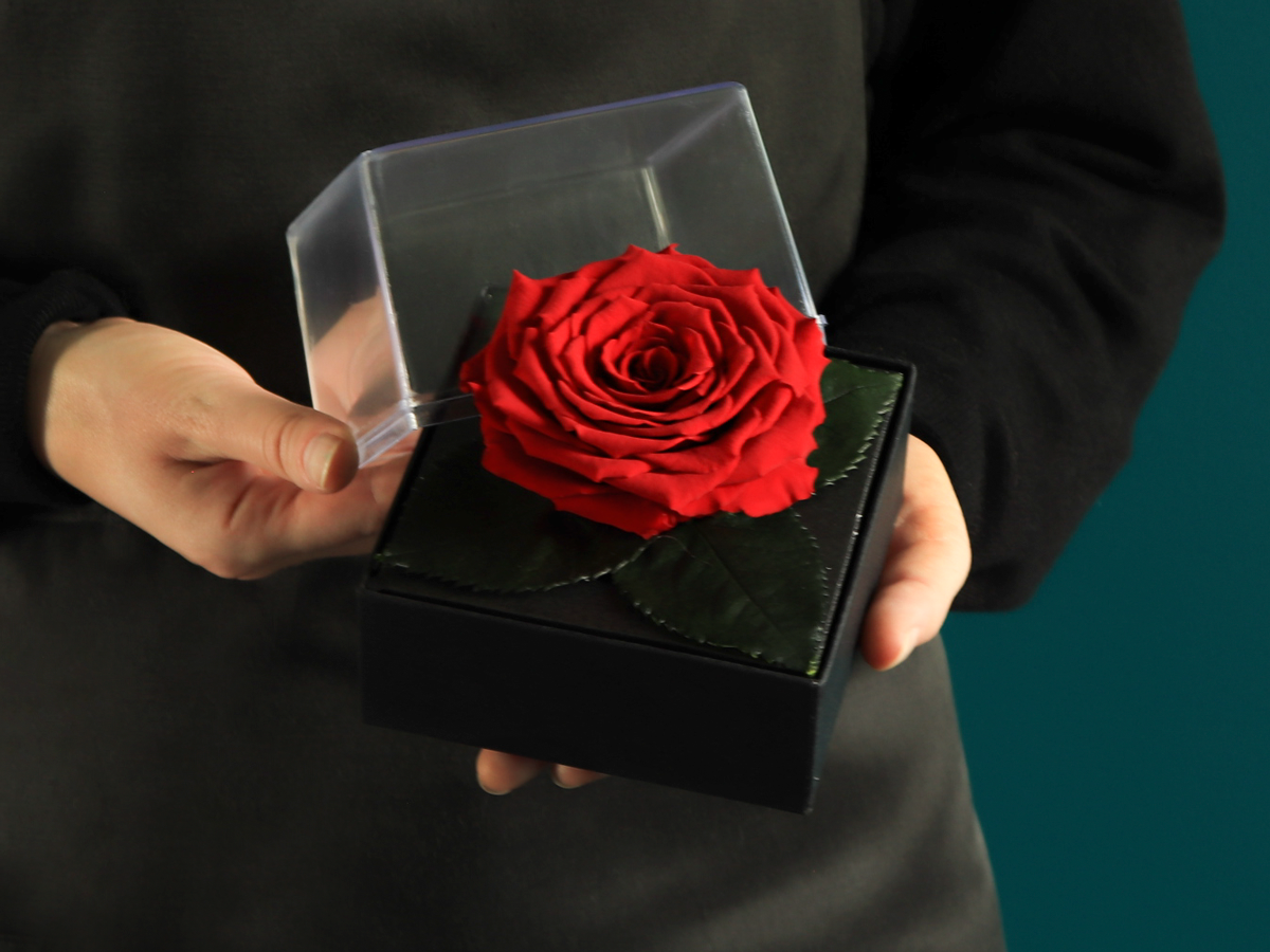 A rose in a box | last forever |