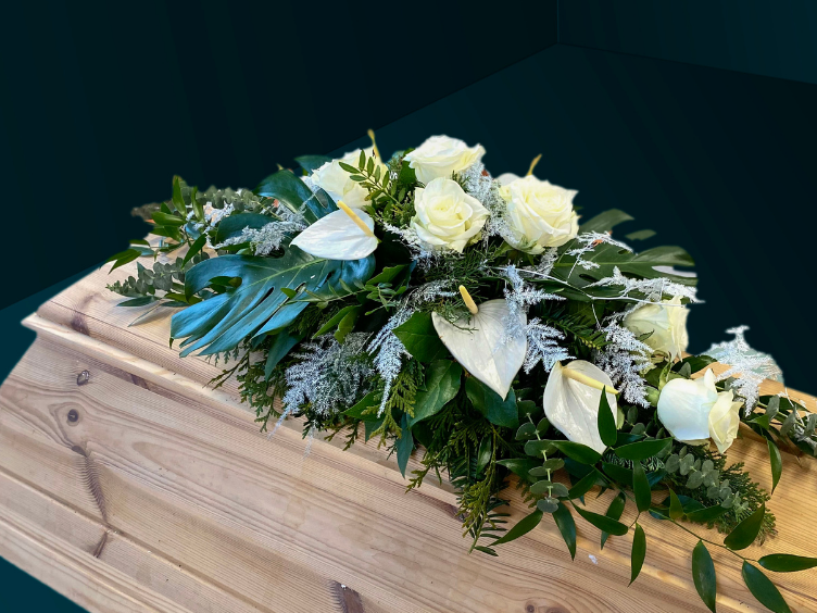 Florista izvēle / Sēru floristika