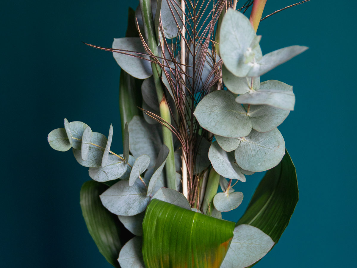Bouquet of flowers with strelitzia | 01 |