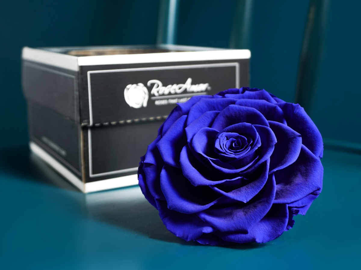 A rose in a box | 03 | last forever |