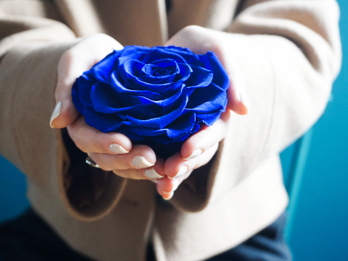 A rose in a box | 03 | last forever |