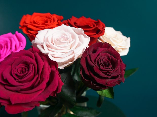 Rose | 01 | last forever |