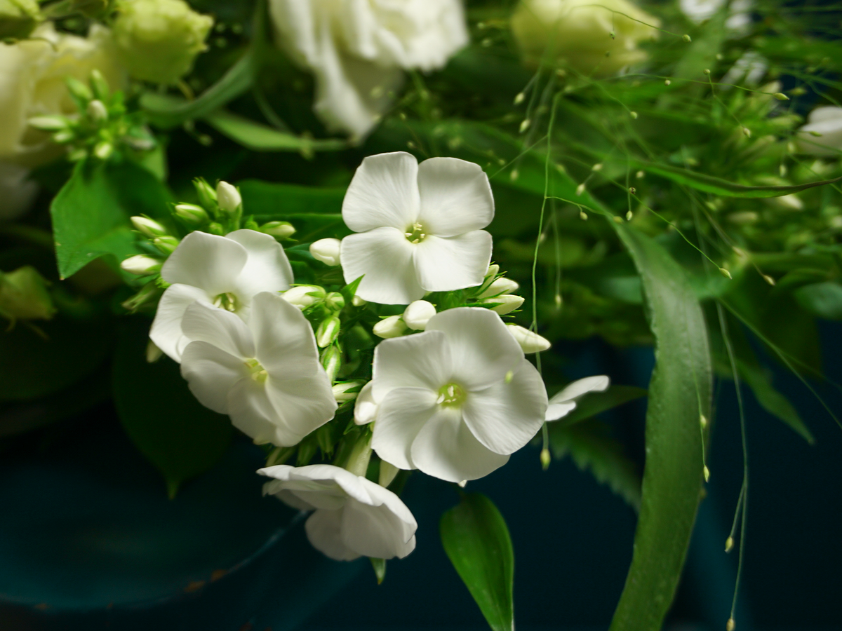 Mourning Bouquet | 07 |
