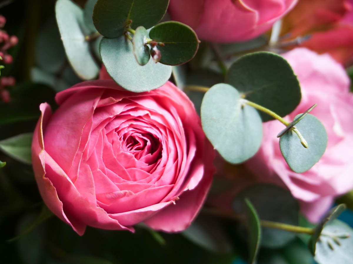 Flowers in a box 01 |