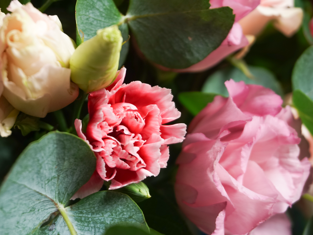 Flowers in a box 02 |