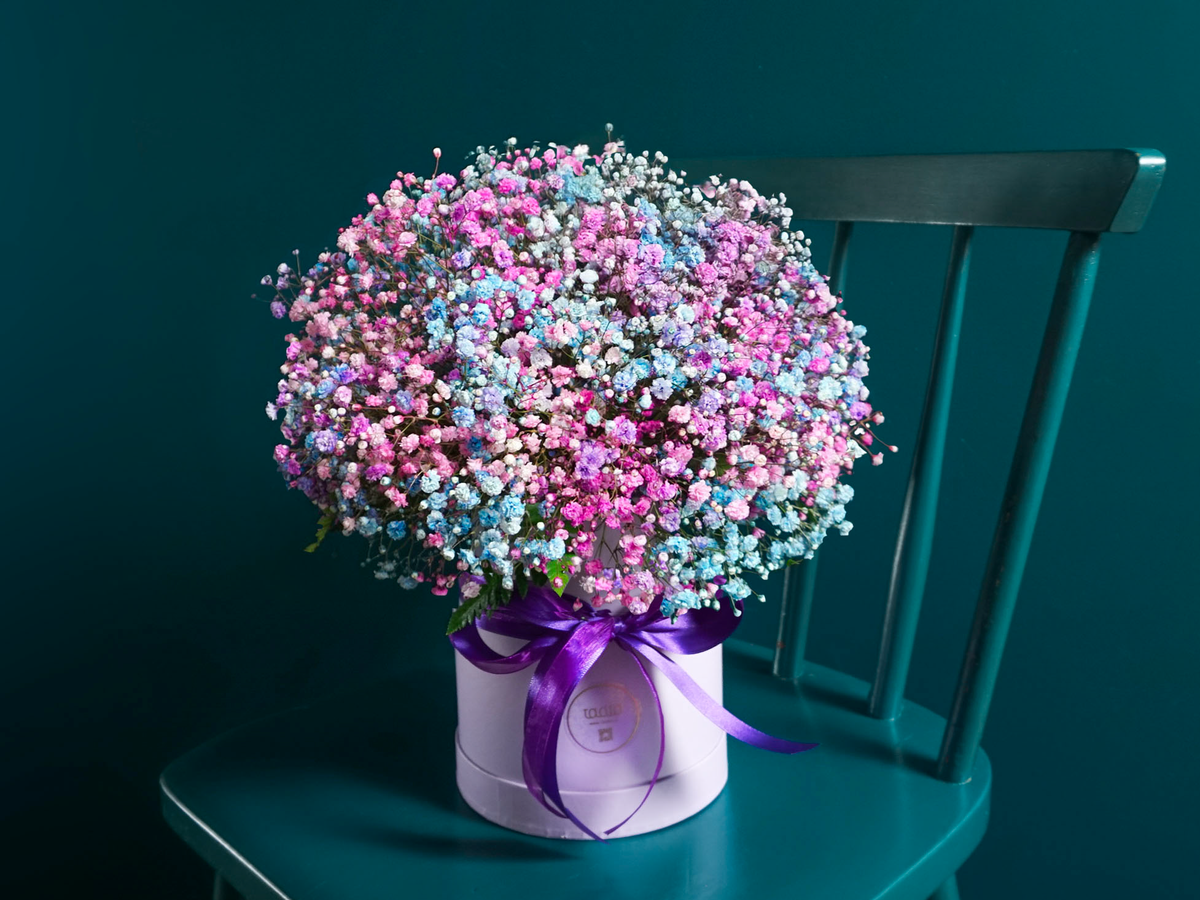 Ziedi kastē | 05 | + opcijas |