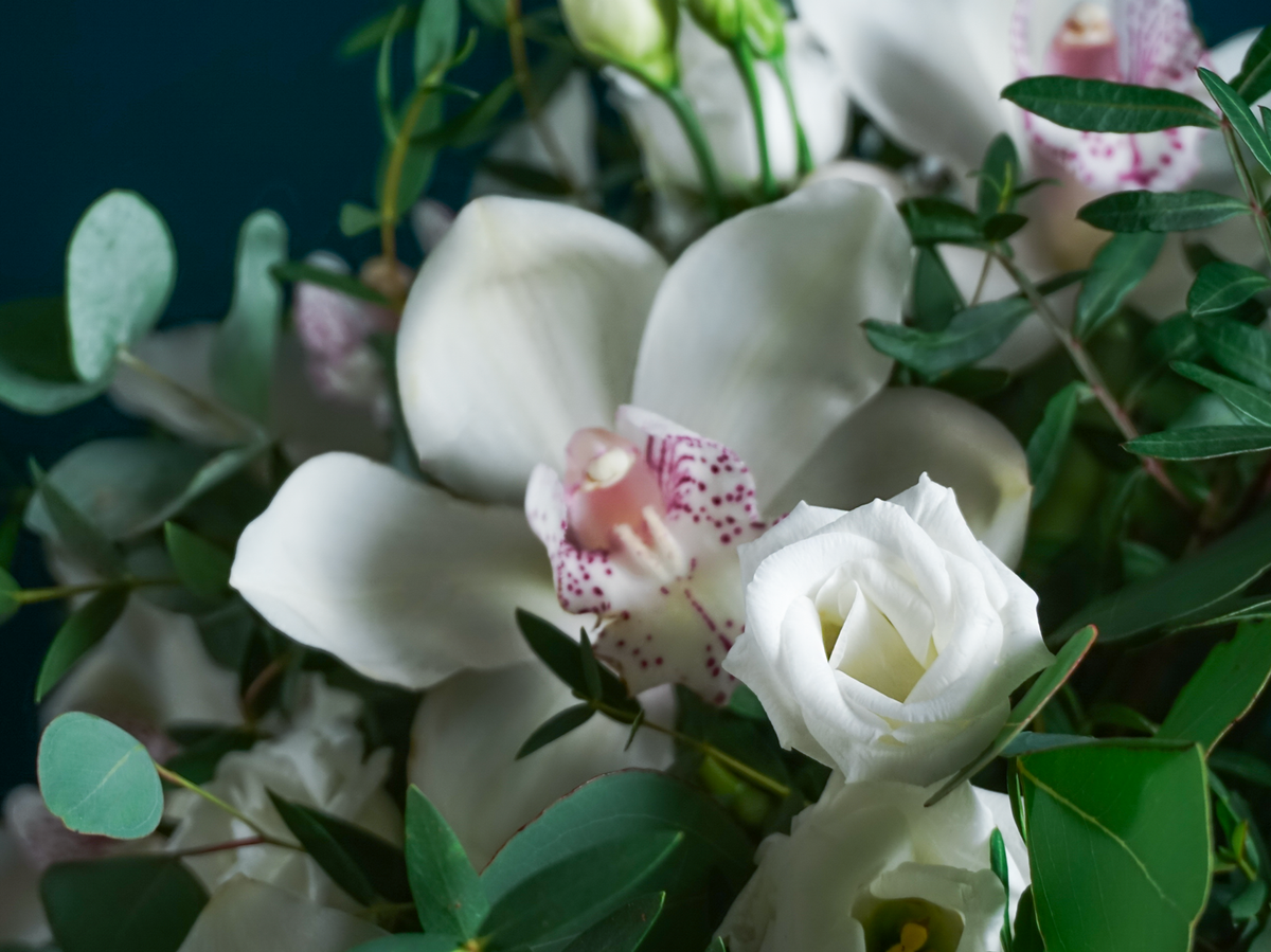 Flowers in a box 06 |