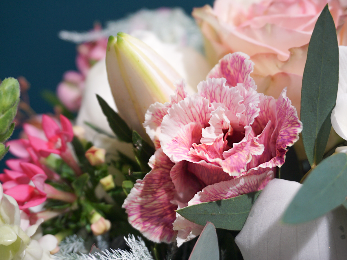 Flowers in a box 07 |