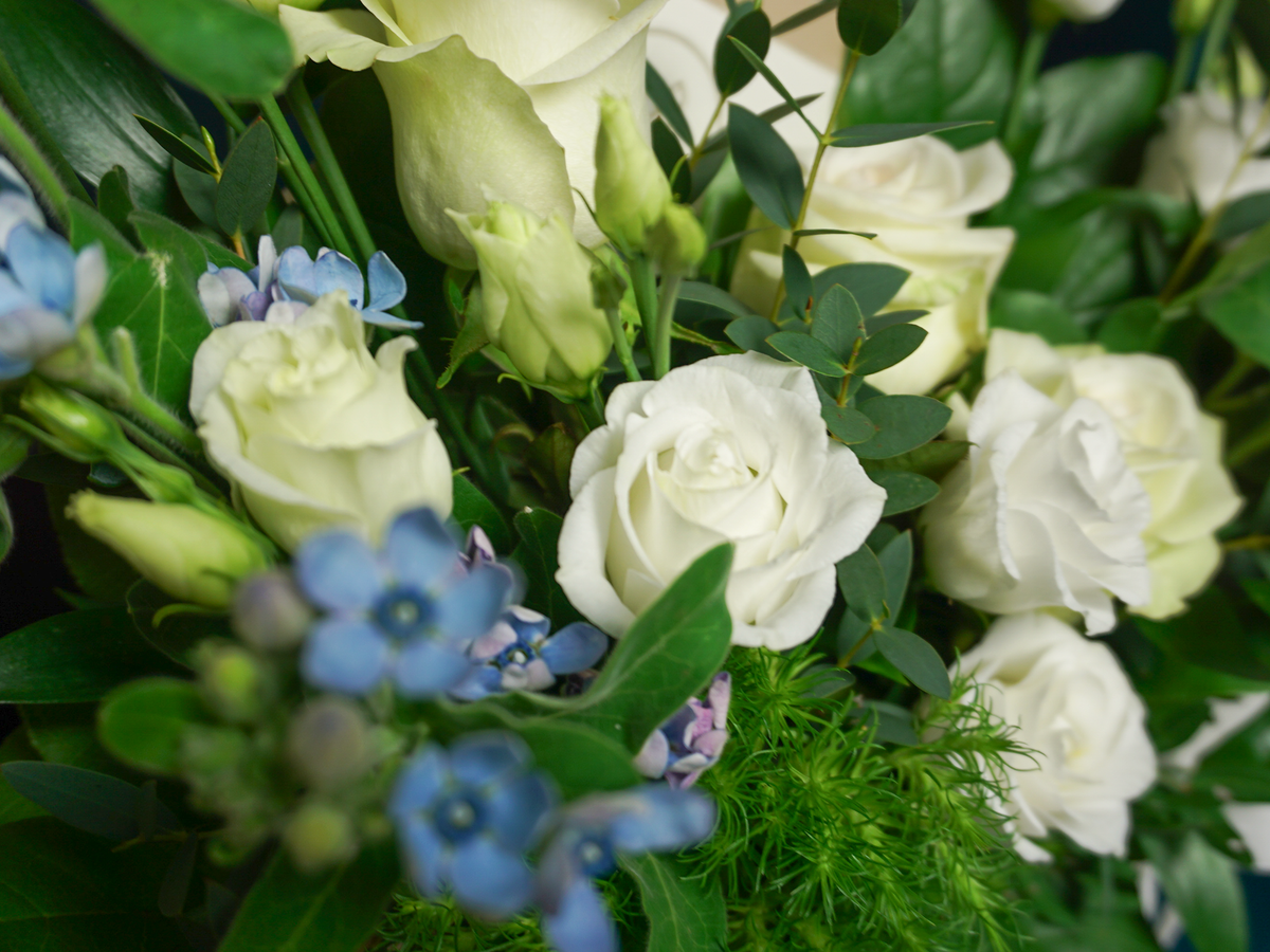Flowers in a box 21 |