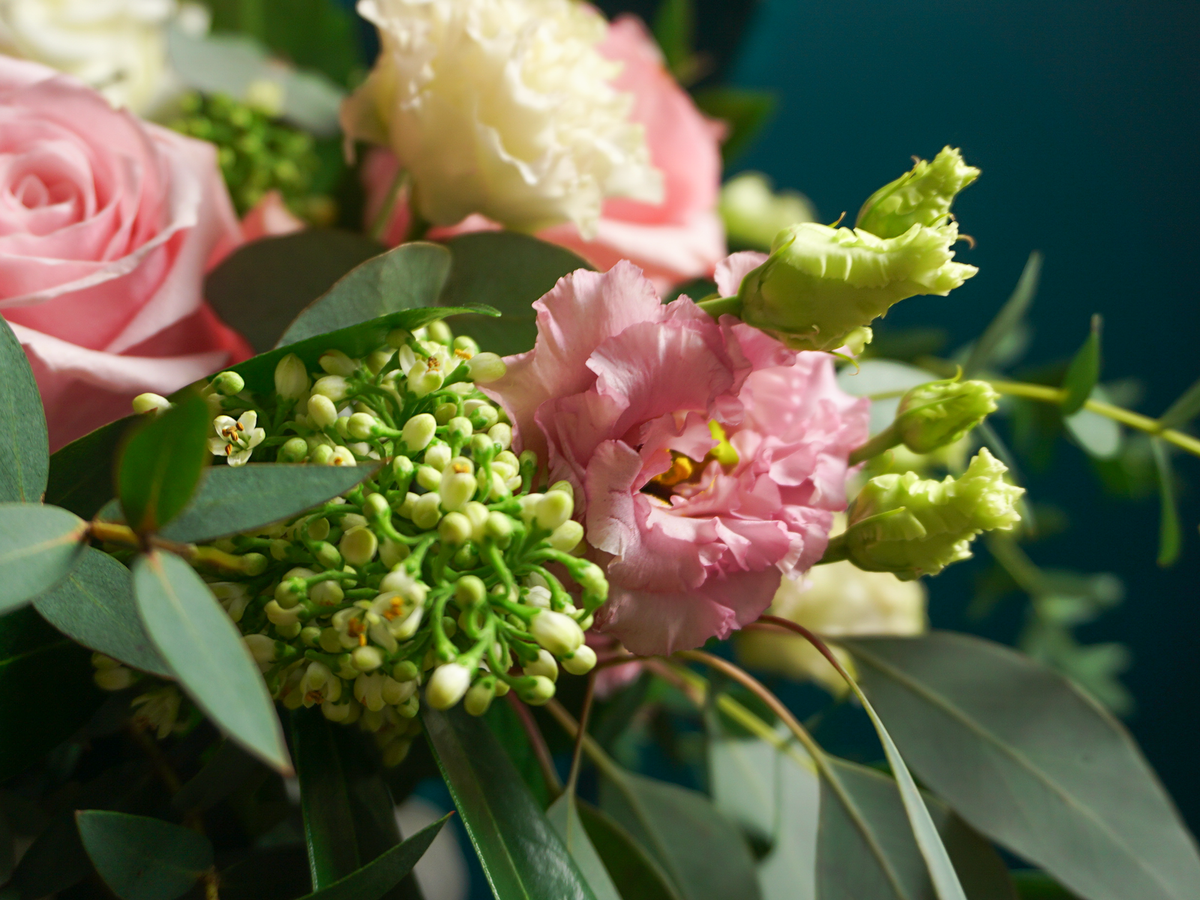 Flowers in a box 22 |