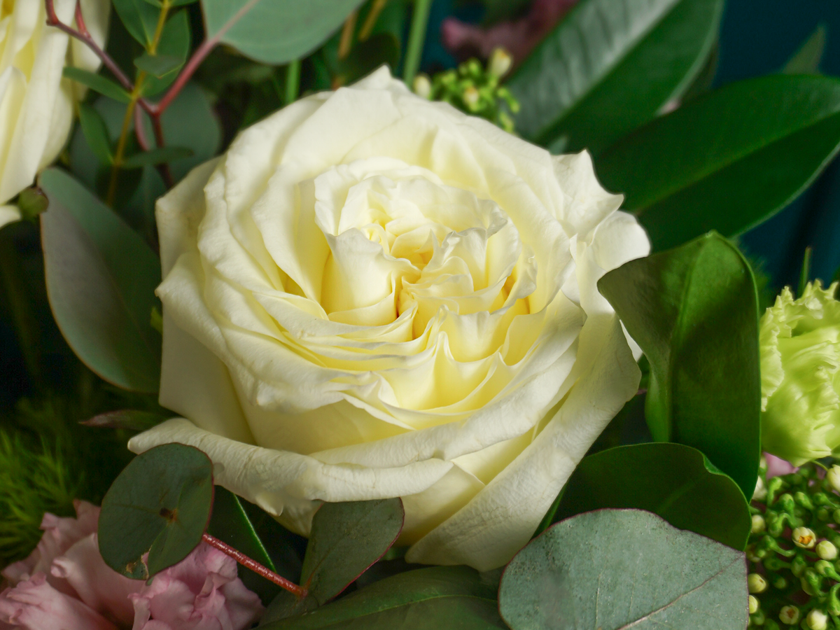 Flowers in a box 22 |