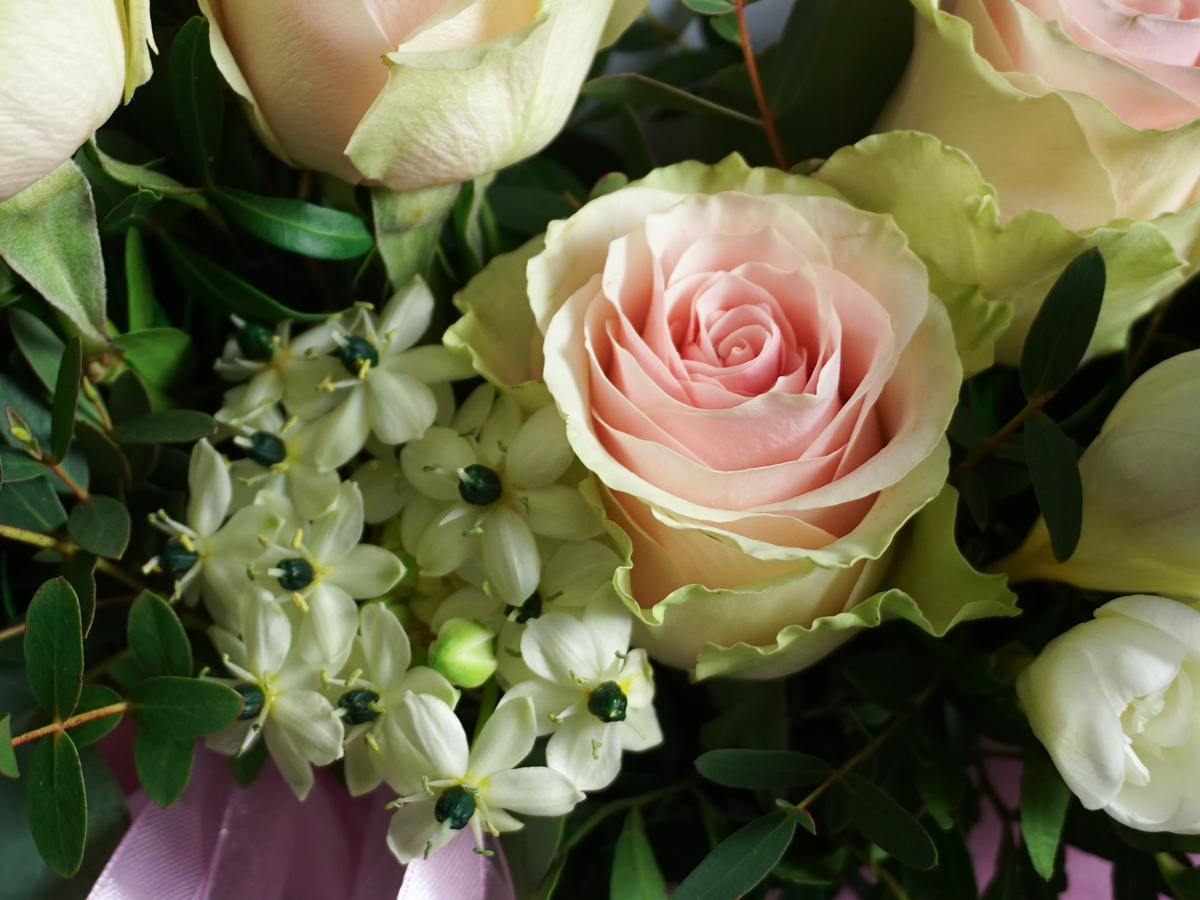 Flowers in a box 24 |
