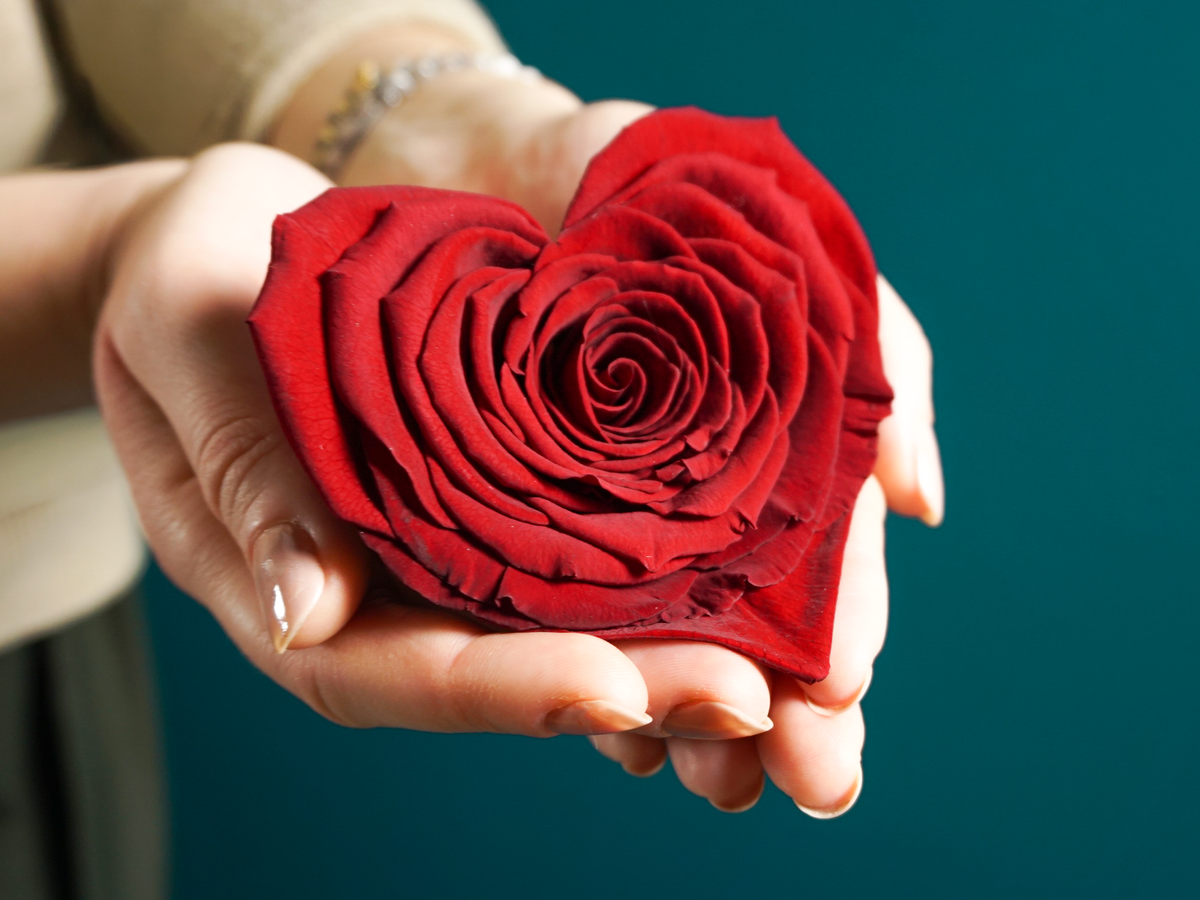 A rose in a box | 04 | last forever |