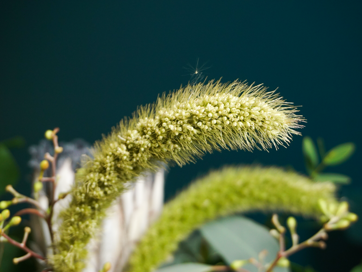 Flowers in a box 17 |