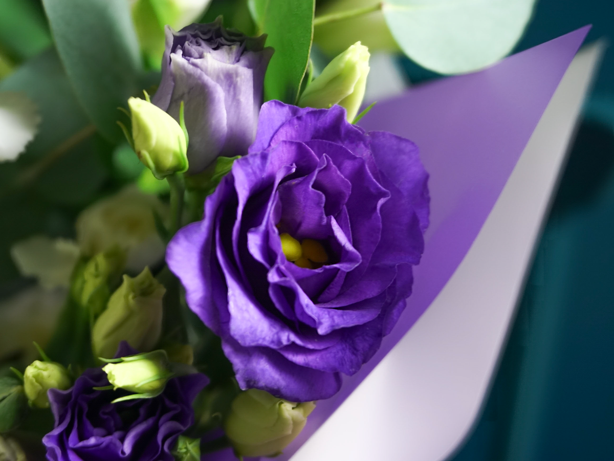 Bouquet of flowers | 01 |