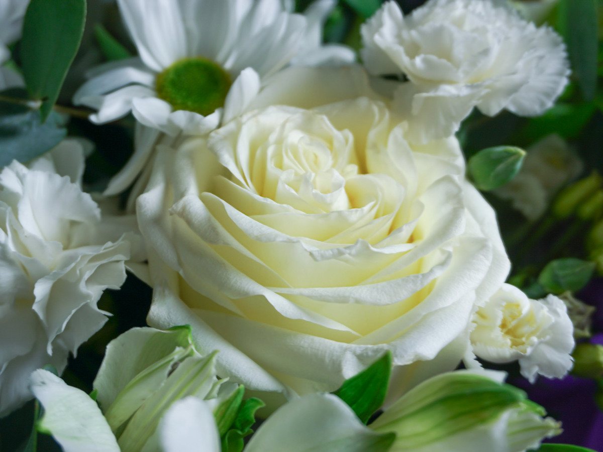 Bouquet of flowers | 01 |