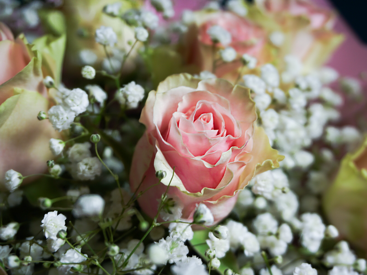 Bouquet of flowers | 02 |