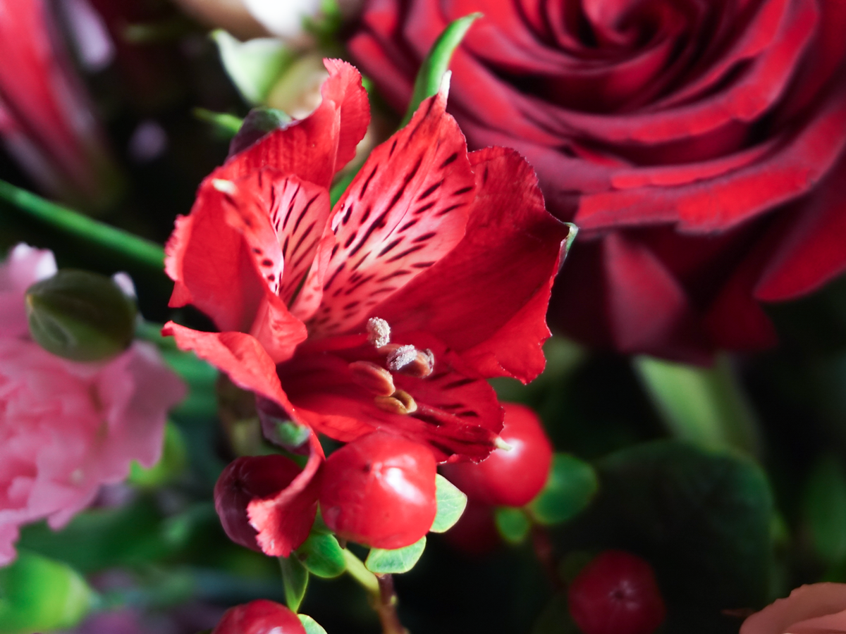 Bouquet of flowers | 05 |