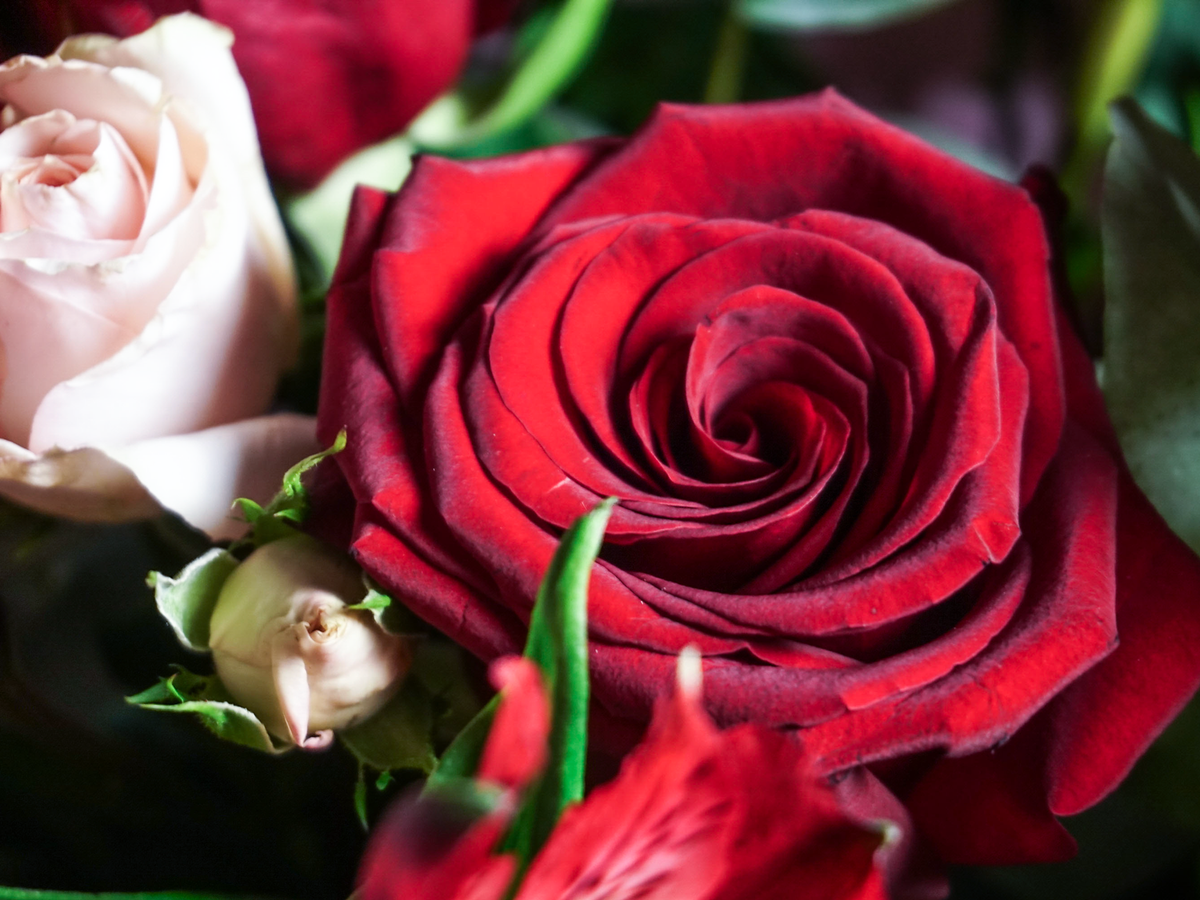 Bouquet of flowers | 05 |