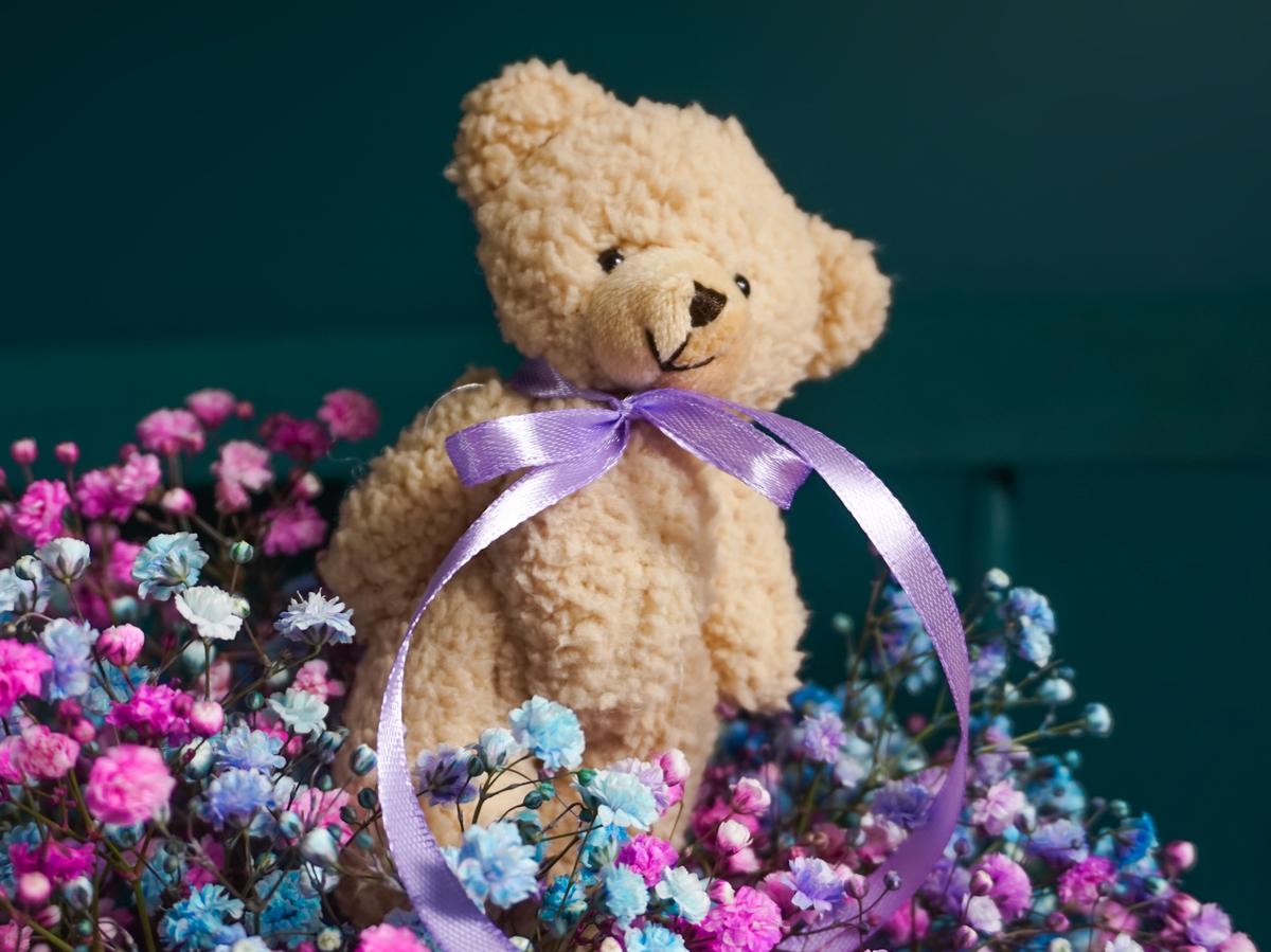 Lācītis | + opcijas |