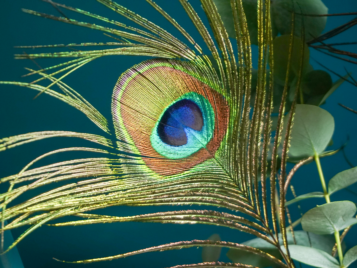 Bouquet of flowers | 09 |