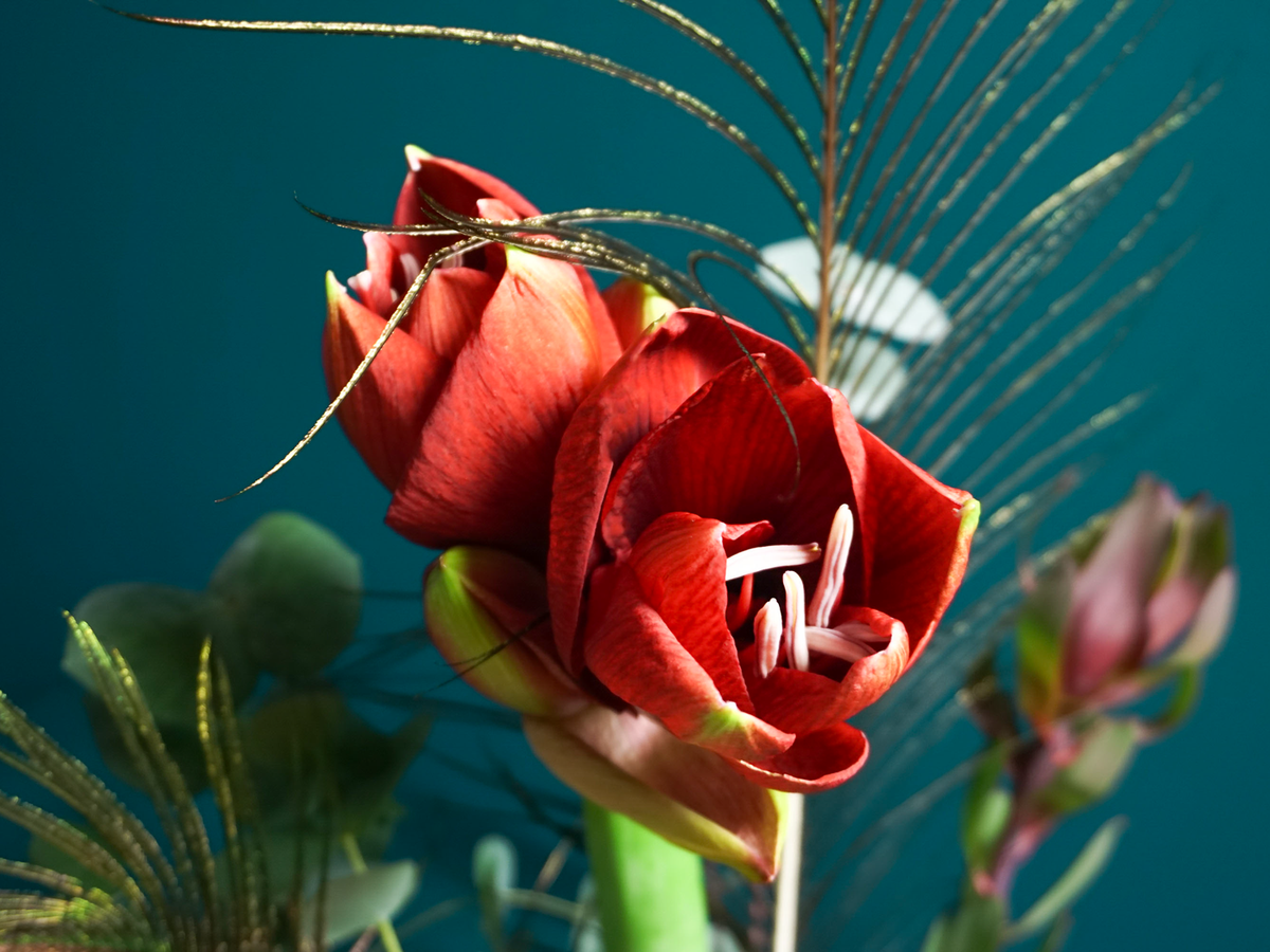 Bouquet of flowers | 09 |