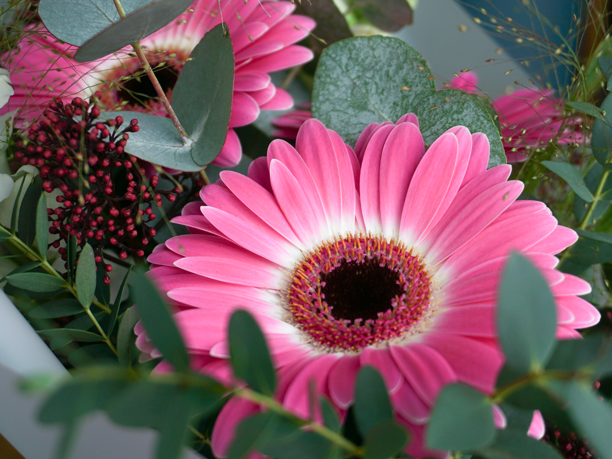 Bouquet of flowers | 03 |