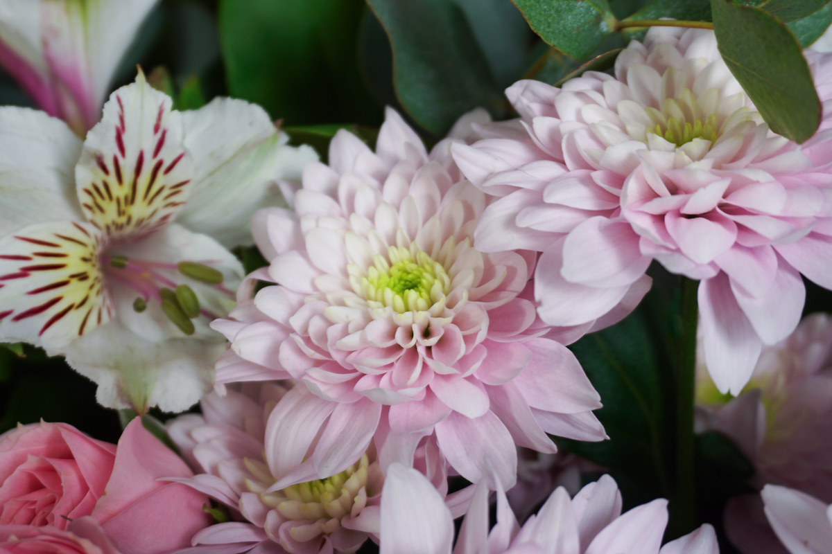 Bouquet of flowers | 19 |