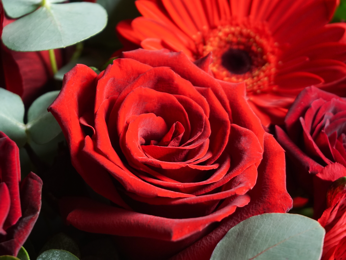 Bouquet of flowers | 20 |