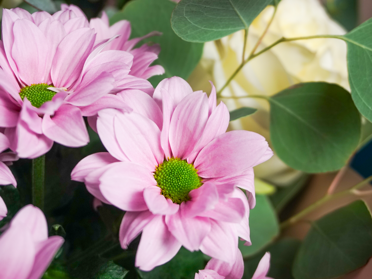 Bouquet of flowers | 21 |