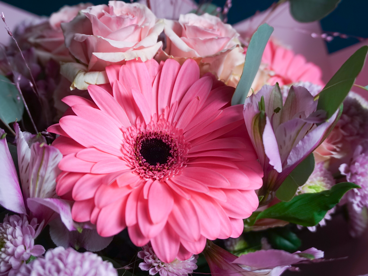 Bouquet of flowers | 22 |