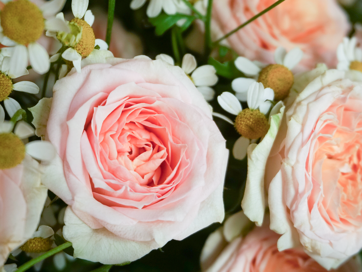 Bouquet of flowers | 37 |