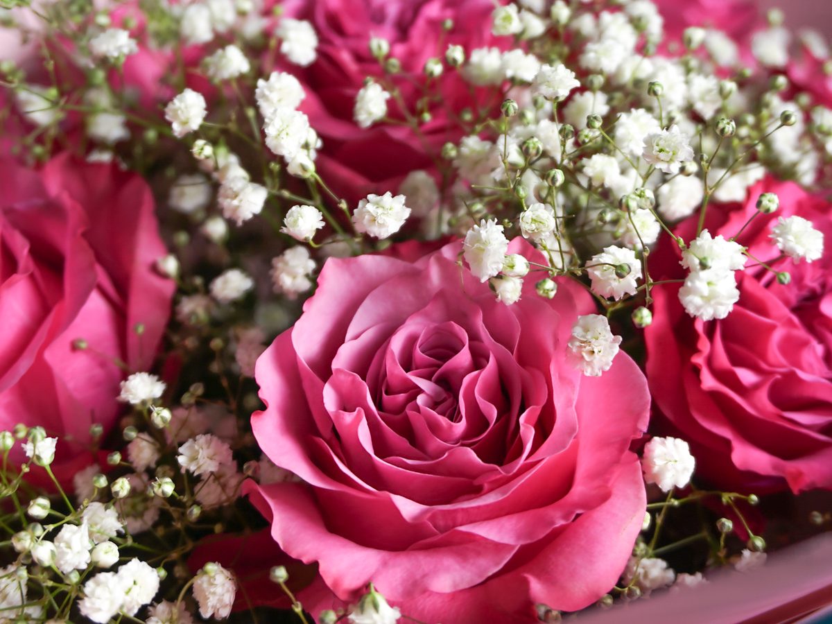 Bouquet of flowers | 13 |