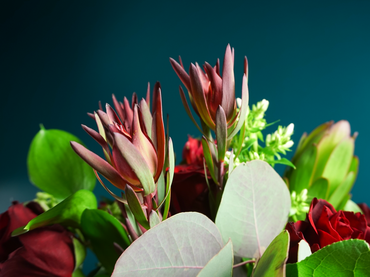 Bouquet of flowers | 51 |