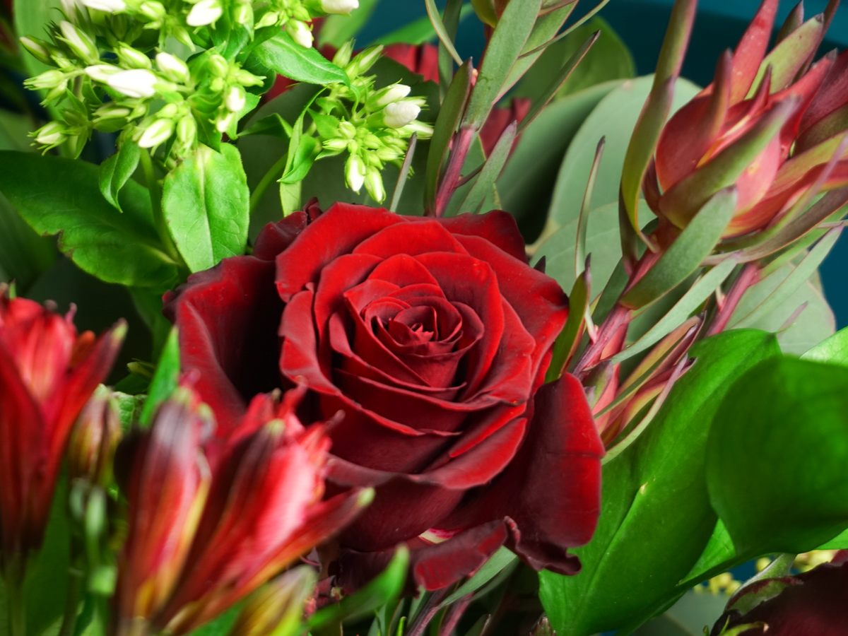 Bouquet of flowers | 51 |