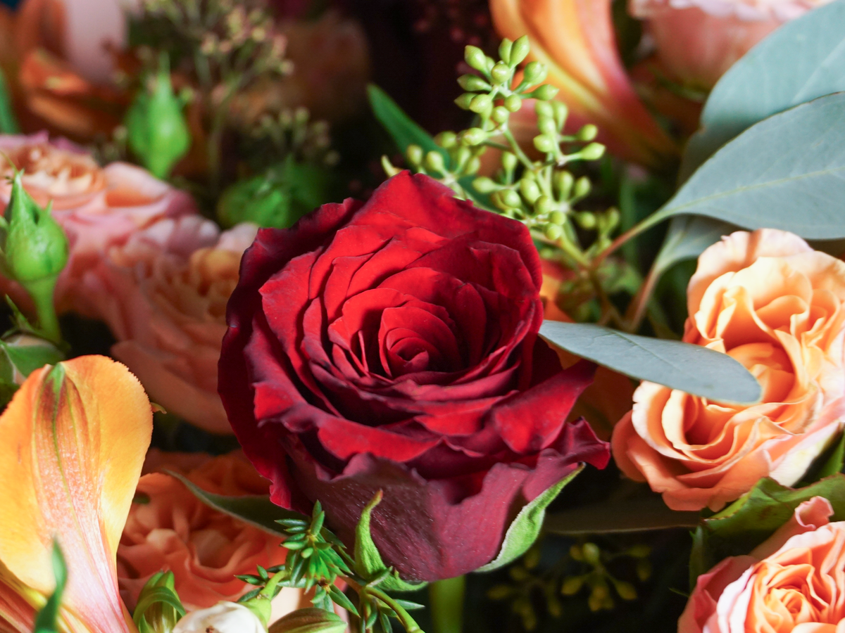 Bouquet of flowers | 52 |