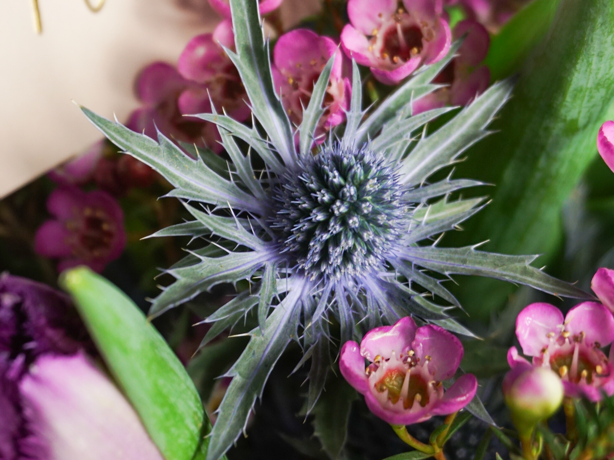 Bouquet of flowers | 53 |