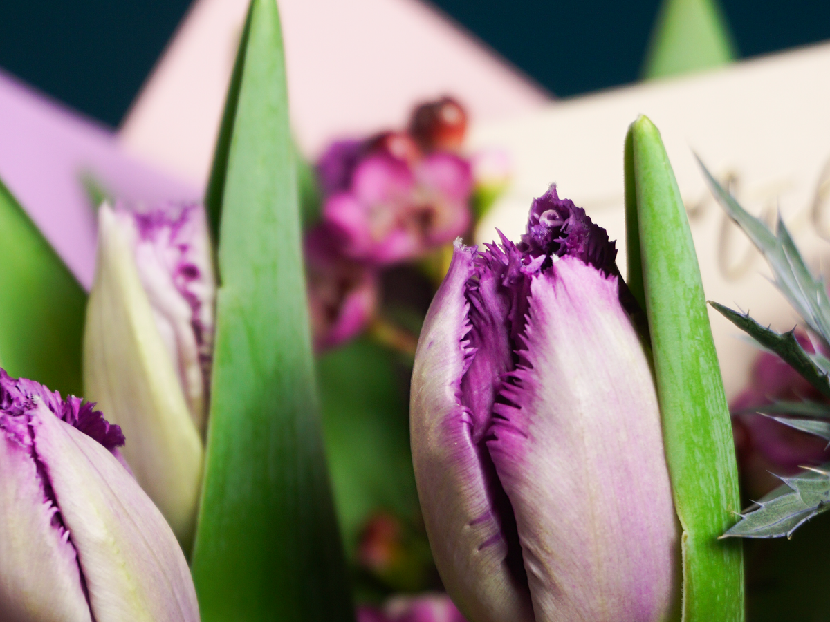 Bouquet of flowers | 53 |