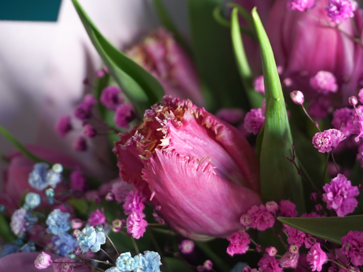 Bouquet of flowers | 54 |