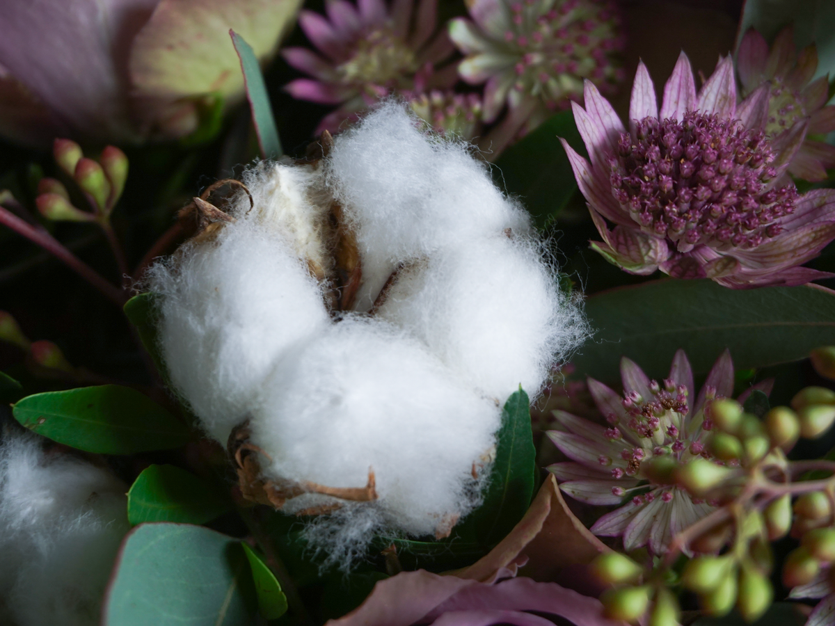 Bouquet of flowers | 57 |