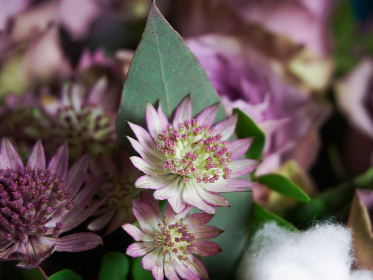 Bouquet of flowers | 57 |