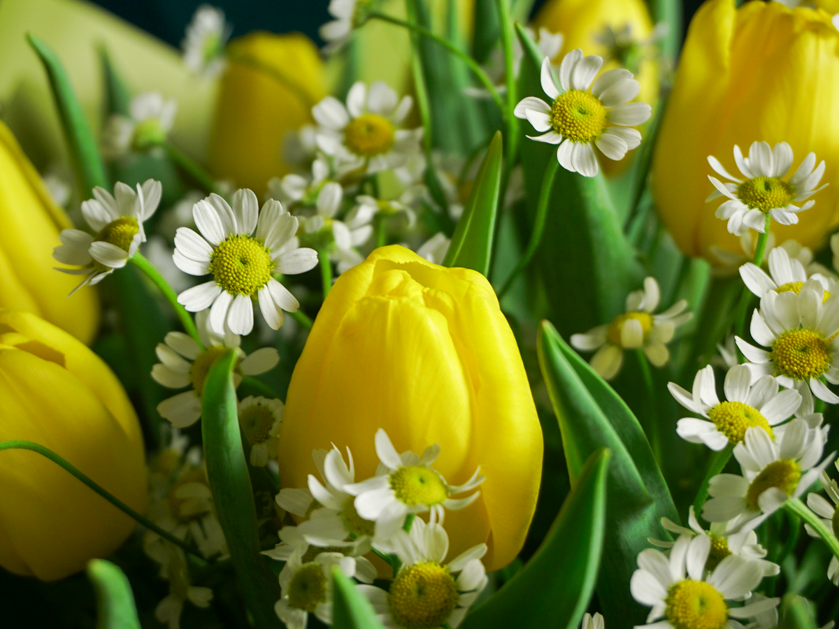 Bouquet of flowers | 60 |