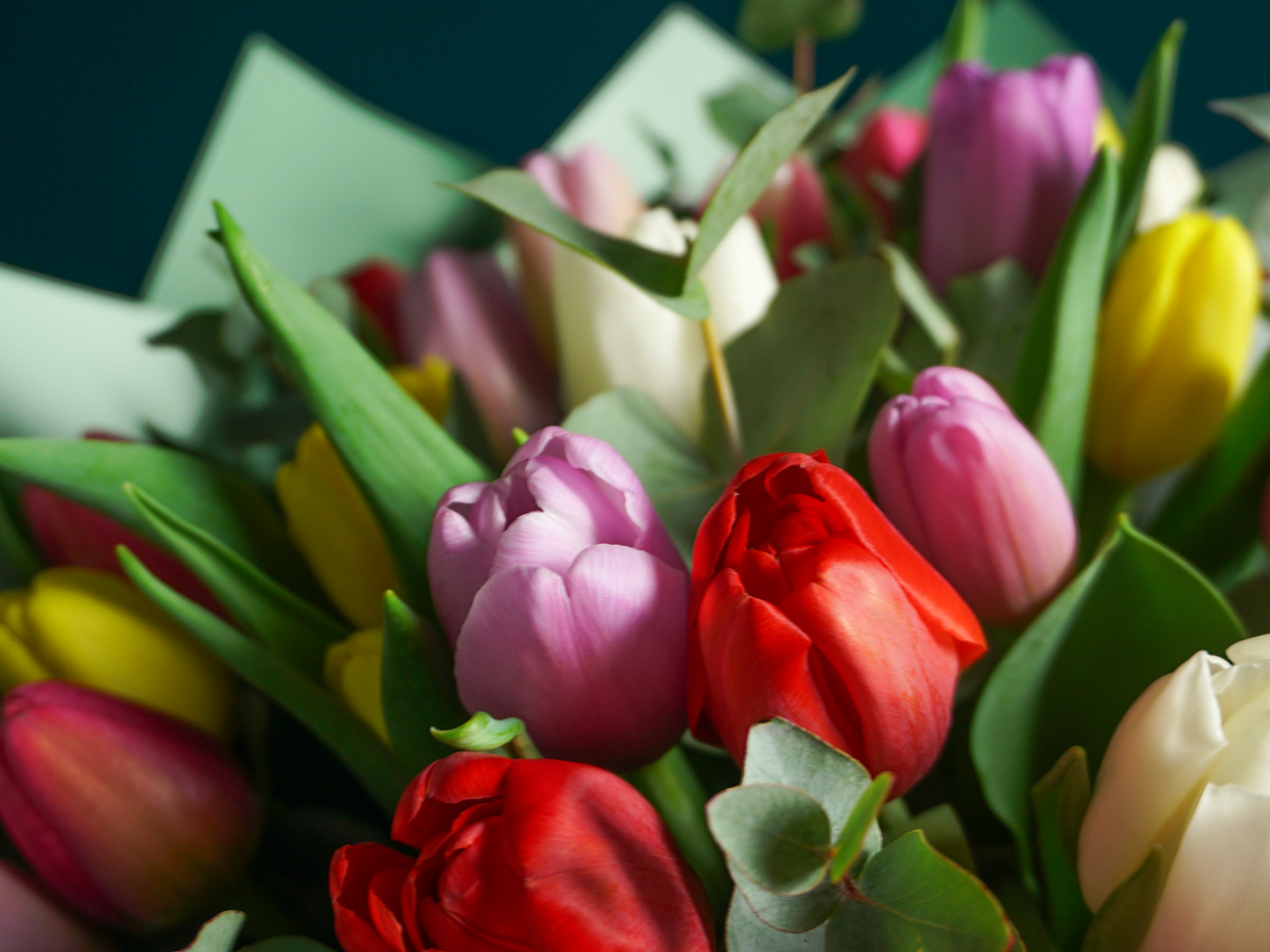 Bouquet of flowers | 55 |