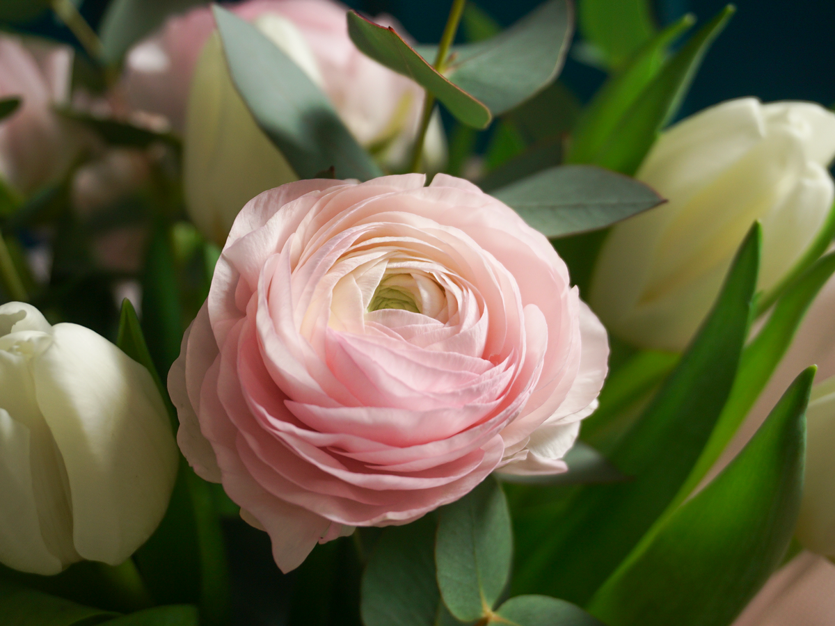 Bouquet of flowers | 63 |