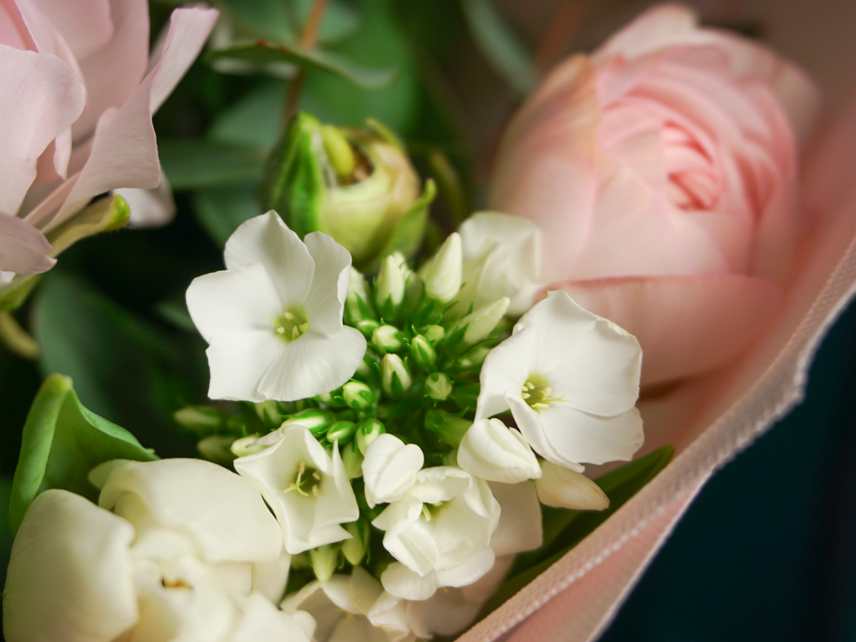 Bouquet of flowers | 64 |