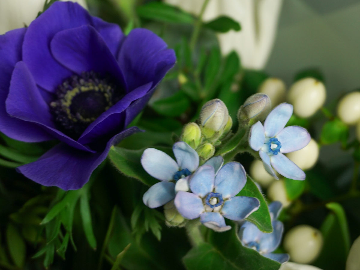 Bouquet of flowers | 66 |